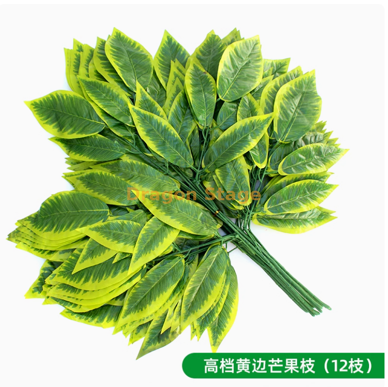 高档黄边芒果枝 (12 枝)