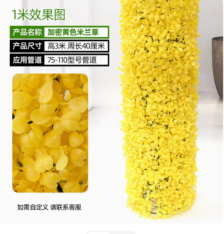 加密黄米兰草套装 (3 米））