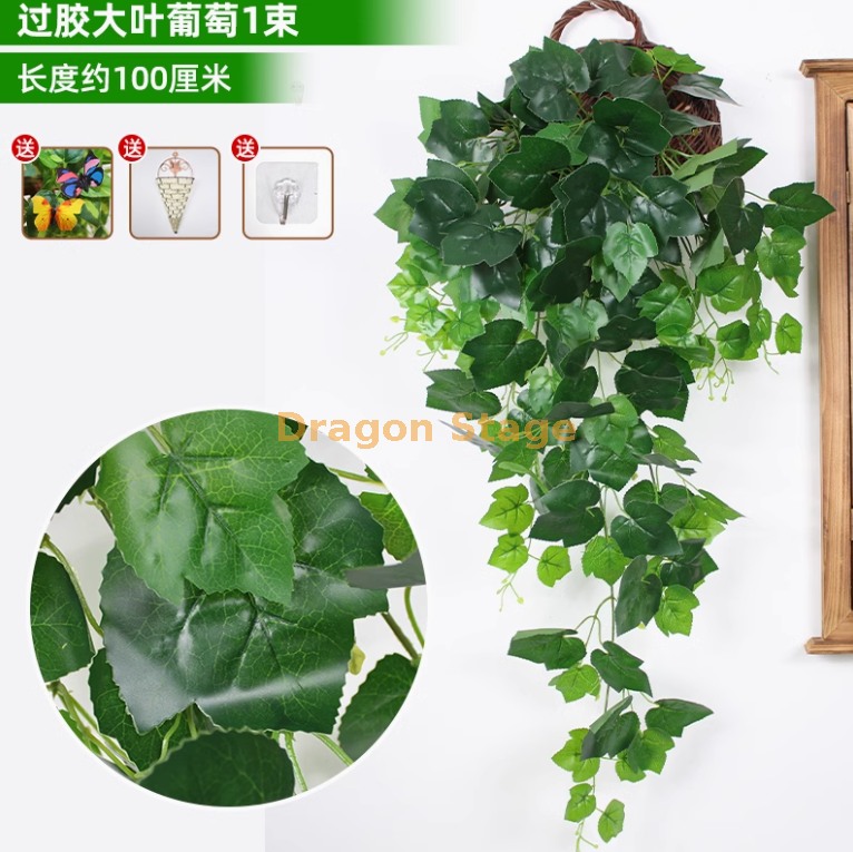翠绿色 大叶铁丝葡萄 （送三角篮）
