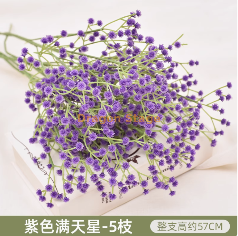 紫色 5 枝