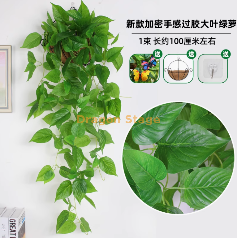 军绿色 新款超密手感绿萝 （送椰棕篮）
