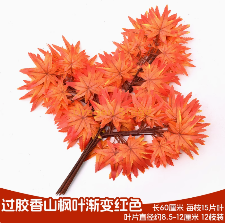 过胶香山枫叶渐变红 (12 枝)