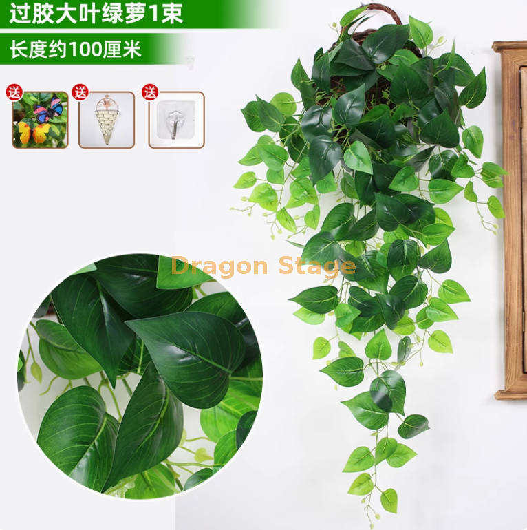 大叶铁丝绿萝 大叶铁丝绿萝 （送三角篮）