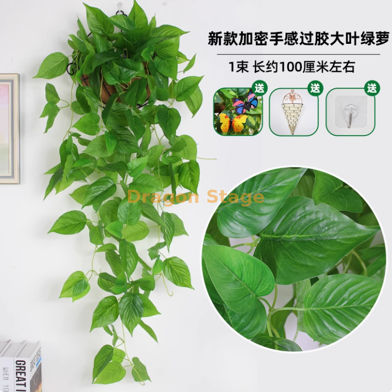 墨绿色 新款超密手感绿萝 （送三角篮）